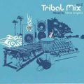 Steve Angello ‎– Tribal Mix Vol.2 [2004]