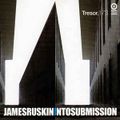 James Ruskin ‎– Into Submission (Full Album) 2001