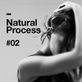 Natural Process #02