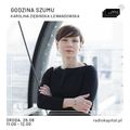 RADIO KAPITAŁ: Godzina Szumu #16 Karolina Ziębińska-Lewandowska (2020-08-26)