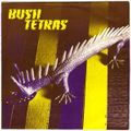 John Peel : BFBS 29th Nov 1980 Part One (Echo & The Bunnymen - Family Fodder - Delta 5 -Bush Tetras)
