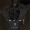 After Dark 12