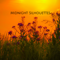 Midnight Silhouettes 3-19-23