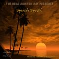 Party Records The Master Mix Spanish Special
