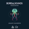 BOREALSOUNDS RADIOSHOW SEASSON 2 EP 2 BY JOACO SALERNO