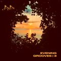 Evening Grooves vol.3