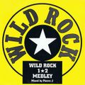 Archive 1995 - Wild Rock Medley