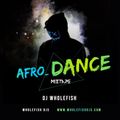 DJ Wholefish - Afro_Dance Mix (AfroBeat - Amapiano)