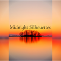 Midnight Silhouettes 10-3-21