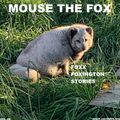 MOUSE THE FOX - FOXX FOXINGTON STORIES - VOL.49 - 05.06.2022