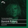 The Anjunadeep Edition 307 with Dominik Eulberg