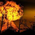 NoiZferatu - World Collapse pt2 (Believe in Chaos)