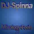 D.J Spinna Mixology vocal Classics
