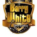 Barry White Mix VIII