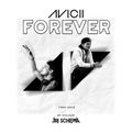 ๋JAY SCHEMA - Avicii Forever Mix