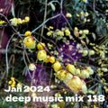 Jan 2024 deep music mix 118