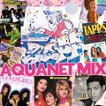DJ ZAPP'S: AQUANET MIX (Vol.4) [80's Freestyle & HI-NRG Disco]