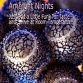 Ambient Nights - Just add a Little Funk for Taste and Serve at Room Temperature