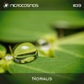 Noraus - Microcosmos Chillout & Ambient Podcast 039