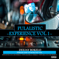 PULALISTIC EXPERIENCE VOL.1 - DJ BOKELO