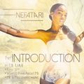 Nefatari - The Introduction (Dancehall, Reggae Mix 2015 Ft G Starr & Delus)
