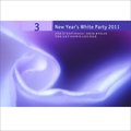 PART 3: New Year's White Party . Upstate, New York . 2011 . Joe D'Espinosa