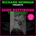 Richard Newman Presents Shep Pettibone The Remixes