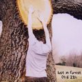 Lost in Forest #15 - Folktronica, laptop folk & carefree pastorale (2)
