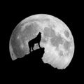 THE FIRST OF 2023 - THE FULL WOLF MOON MIX - 2023