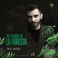 THE SOUNDS OF LA FORESTA EP31 - TALI MUSS