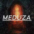 MEDUZA MIX 2019 - Best Songs & Remixes Of All Time
