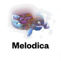 Melodica 10 August 2020