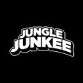 Jungle Junkee - 90s R&B Pop Up Mix