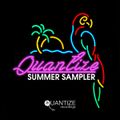 Spen - Quantize Summer Sampler Continuous Dj Mix 2017