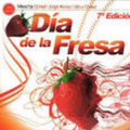 Dia De La Fresa 2008 - X-kandalo