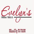 DJ RAM - EVELYN'S PICKS MIX Vol. 1 ( 60's - 00's CHILL OUT / LOUNGE MUSIC )