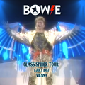 Bowie Glass Spider Tour.July 1st 1987 Vienna