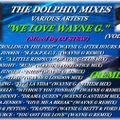 THE DOLPHIN MIXES - VARIOUS ARTISTS - ''WE LOVE 'WAYNE G' REMIXES'' (VOLUME 1)