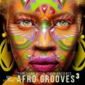 AFRO GROOVEs 3 (tablefunkmuzik)