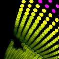 DJ Paul Franks-Mixtape (Deep Tech_Minimal)
