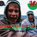 TCRS Presents - INTO THE VALLEY - Volume One - A celebration of Welsh bands and solo artists