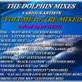 THE DOLPHIN MIXES - VARIOUS ARTISTS - ''VOLUME 10'' (RE-MIXED)