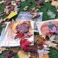 Autumn Sleeves: Mr Scruff // 01-11-21