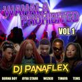 DJ Panaflex - Wahala Prohibited 01 (Mix 2022 Ft Wale, Major Lazer, WizKid, Dua Lipa, Timaya, Ecool)