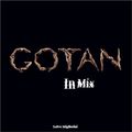 Gotan Project In Mix