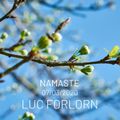 Namasté by Luc Forlorn (7 March 2020)
