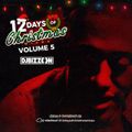 2nd Day of Christmas Mixes Vol. 5 w/ DJ Bizzon