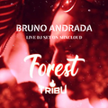 FOREST - Bruno Andrada Live Set - 12 Feb 2022