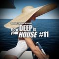 how Deep is your HOUSE #11