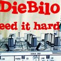 DieBilo @ We need it hard & loud